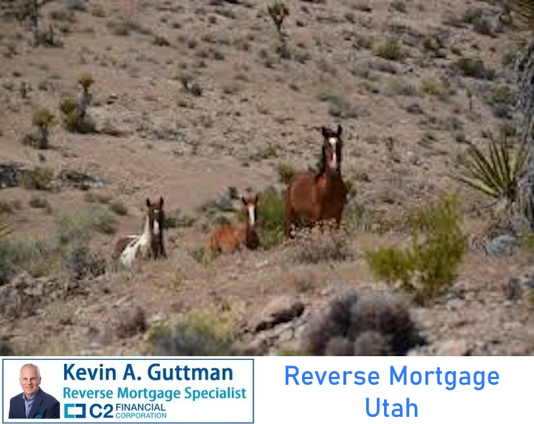 reverse mortgage Utah